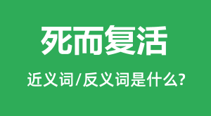 ��������Ľ���ʺͷ������ʲô_����������ʲô��˼?