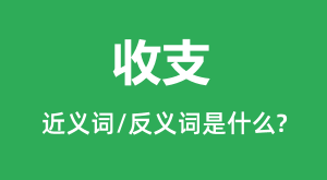 ��֧�Ľ���ʺͷ������ʲô_��֧��ʲô��˼?