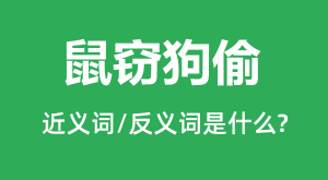 ���Թ�͵�Ľ���ʺͷ������ʲô_���Թ�͵��ʲô��˼?