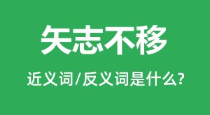 ʸ־���ƵĽ���ʺͷ������ʲô_ʸ־������ʲô��˼?