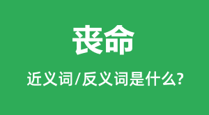 ɥ���Ľ���ʺͷ������ʲô��ɥ����ʲô��˼��