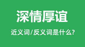 �������Ľ���ʺͷ������ʲô�����������ʲô��˼��