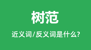 �����Ľ���ʺͷ������ʲô_������ʲô��˼?