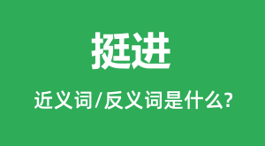 ͦ���Ľ���ʺͷ������ʲô_ͦ����ʲô��˼?