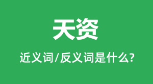 ���ʵĽ���ʺͷ������ʲô��������ʲô��˼��