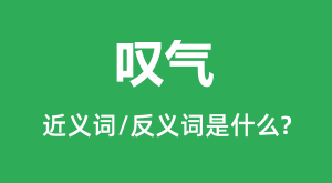 ̾���Ľ���ʺͷ������ʲô_̾����ʲô��˼?