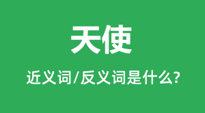 ��ʹ�Ľ���ʺͷ������ʲô_��ʹ��ʲô��˼?