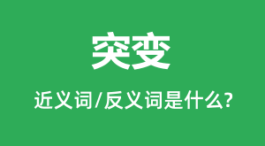 ͻ��Ľ���ʺͷ������ʲô_ͻ����ʲô��˼��