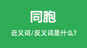 ͬ���Ľ���ʺͷ������ʲô_ͬ����ʲô��˼?