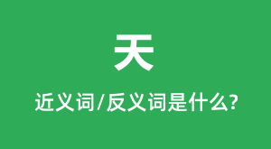 ��Ľ���ʺͷ������ʲô_����ʲô��˼?