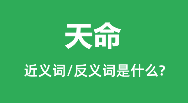 �����Ľ���ʺͷ������ʲô,������ʲô��˼