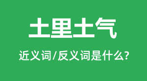 ���������Ľ���ʺͷ������ʲô_����������ʲô��˼?