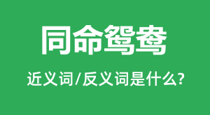 ͬ��ԧ��Ľ���ʺͷ������ʲô_ͬ��ԧ����ʲô��˼?