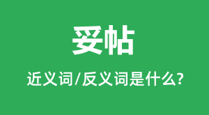 �����Ľ���ʺͷ������ʲô_������ʲô��˼?