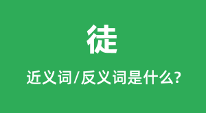 ͽ�Ľ���ʺͷ������ʲô_ͽ��ʲô��˼?