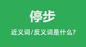 ͣ���Ľ���ʺͷ������ʲô_ͣ����ʲô��˼?