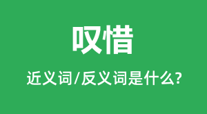 ̾ϧ�Ľ���ʺͷ������ʲô_̾ϧ��ʲô��˼?