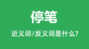 ͣ�ʵĽ���ʺͷ������ʲô_ͣ����ʲô��˼?