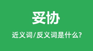 ��Э�Ľ���ʺͷ������ʲô_��Э��ʲô��˼?