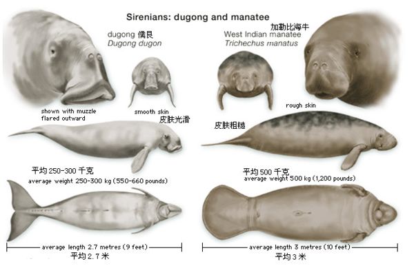 ������ô��,������ʲô,����Ϊʲô��������