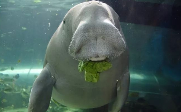 ������ô��,������ʲô,����Ϊʲô��������