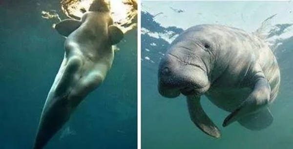 ������ô��,������ʲô,����Ϊʲô��������