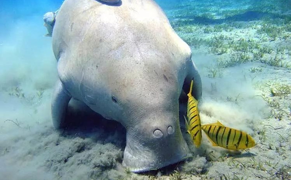 ������ô��,������ʲô,����Ϊʲô��������