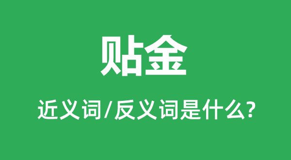 ����Ľ���ʺͷ������ʲô,������ʲô��˼