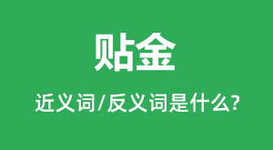 ����Ľ���ʺͷ������ʲô_������ʲô��˼��