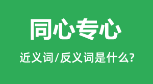 ͬ��ר�ĵĽ���ʺͷ������ʲô_ͬ��ר����ʲô��˼��