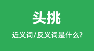 ͷ���Ľ���ʺͷ������ʲô_ͷ����ʲô��˼?