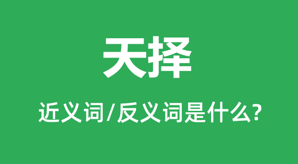 ����Ľ���ʺͷ������ʲô,������ʲô��˼