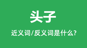 ͷ�ӵĽ���ʺͷ������ʲô_ͷ����ʲô��˼?