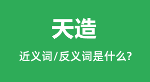 ����Ľ���ʺͷ������ʲô_������ʲô��˼��