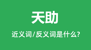 �����Ľ���ʺͷ������ʲô_������ʲô��˼?