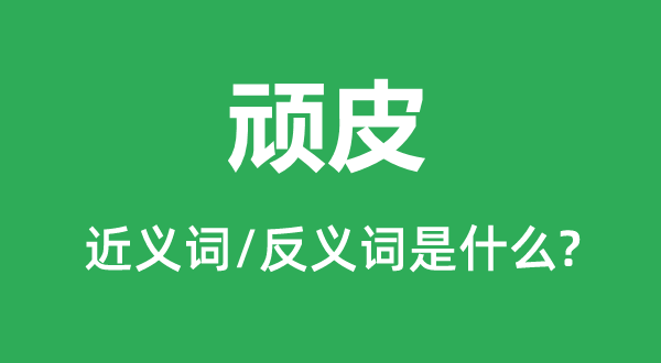 ��Ƥ�Ľ���ʺͷ������ʲô,��Ƥ��ʲô��˼