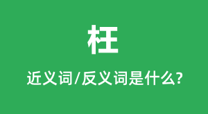 ���Ľ���ʺͷ������ʲô_����ʲô��˼?