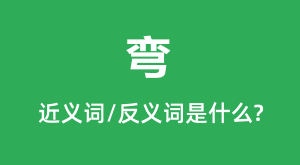 ��Ľ���ʺͷ������ʲô_����ʲô��˼?