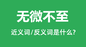 ��΢�����Ľ���ʺͷ������ʲô_��΢������ʲô��˼��