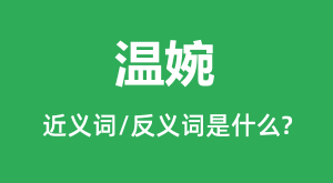 ����Ľ���ʺͷ������ʲô_������ʲô��˼��