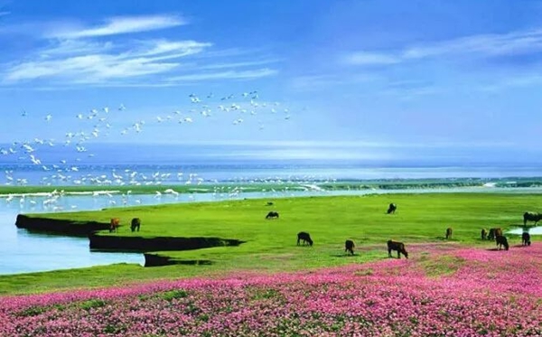 ۶������ô��,۶������bo����po,۶����λ���ĸ�ʡ��