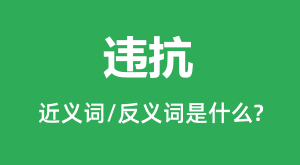 Υ���Ľ���ʺͷ������ʲô_Υ����ʲô��˼��