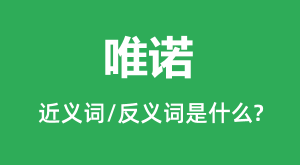 <b>Ψŵ�Ľ���ʺͷ������ʲô_Ψŵ��ʲô��˼?</b>