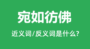 �����ݷ�Ľ���ʺͷ������ʲô_�����ݷ���ʲô��˼?