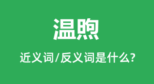 ����Ľ���ʺͷ������ʲô_������ʲô��˼?