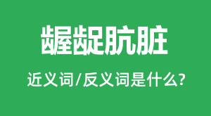 ��������Ľ���ʺͷ������ʲô_����������ʲô��˼?