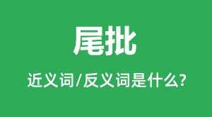 β���Ľ���ʺͷ������ʲô_β����ʲô��˼��