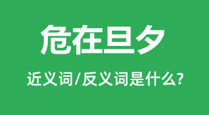 Σ�ڵ�Ϧ�Ľ���ʺͷ������ʲô_Σ�ڵ�Ϧ��ʲô��˼?