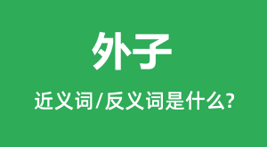 ���ӵĽ���ʺͷ������ʲô_������ʲô��˼?