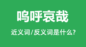 �غ����յĽ���ʺͷ������ʲô_�غ�������ʲô��˼?